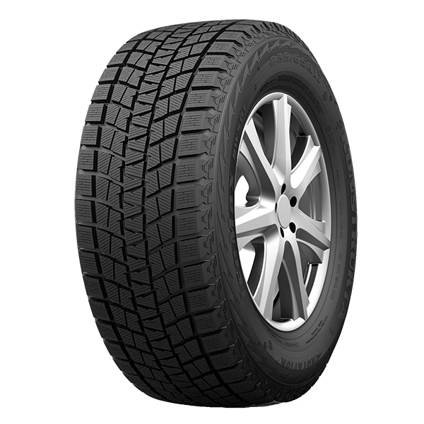 205/65 R15 94H TL ICEMAX RW501 